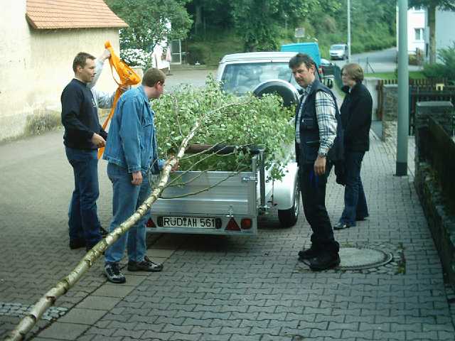 ff-baeumchen-stellen-klein-2004_05.JPG