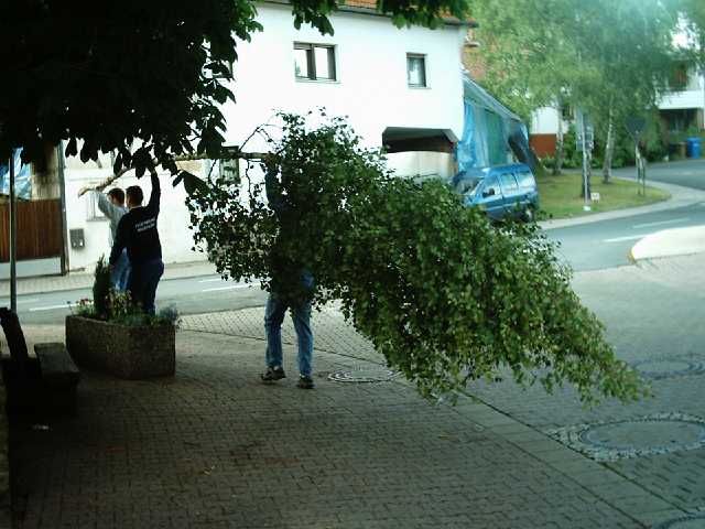 ff-baeumchen-stellen-klein-2004_06.JPG