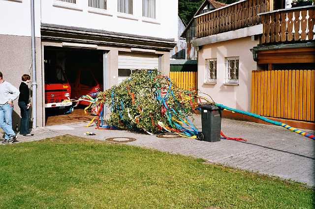 ff-baeumchen-stellen-klein-2004_08.JPG