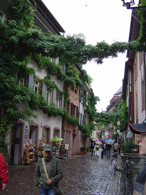 ff-ausflug-freiburg-2005_051.JPG