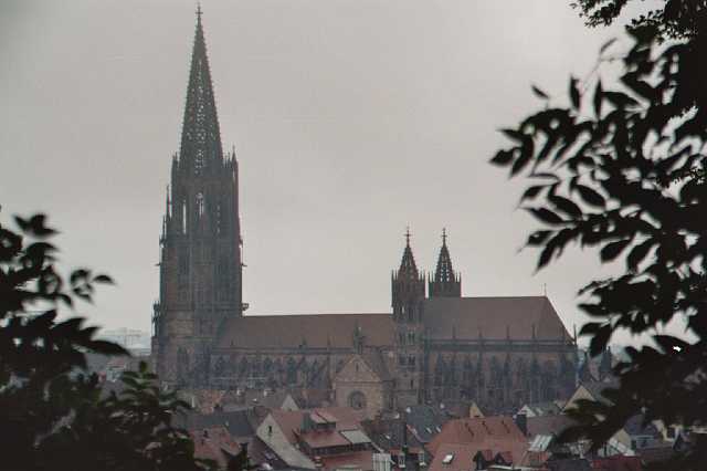ff-ausflug-freiburg-2005_422.JPG
