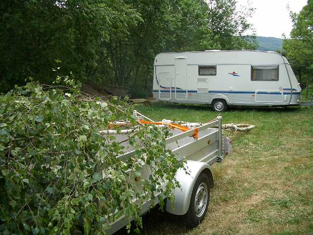 ff-baeumchen-stellen-nickel-2005_002.JPG