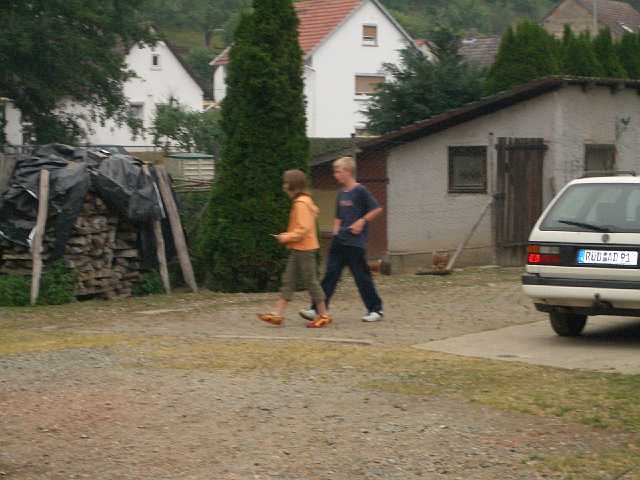 ff-baeumchen-stellen-nickel-2005_034.JPG