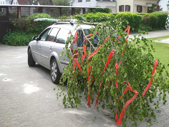 ff-baeumchen-stellen-friedrich_20100529-171002.JPG