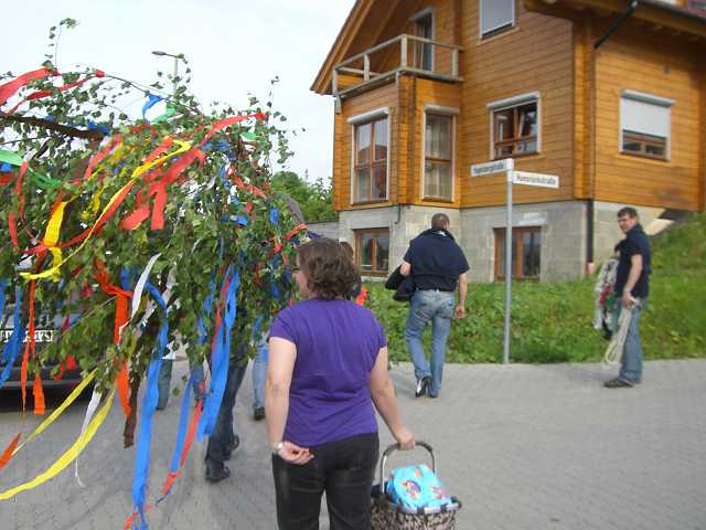 ff-baeumchen-stellen-friedrich_20100529-180844.JPG