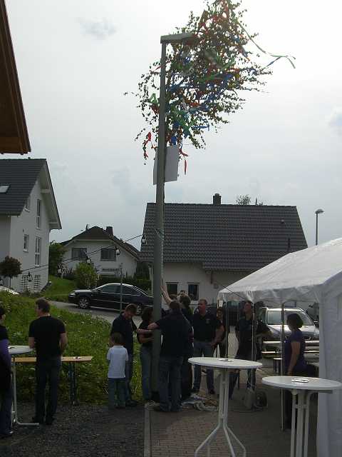 ff-baeumchen-stellen-friedrich_20100529-181008.JPG