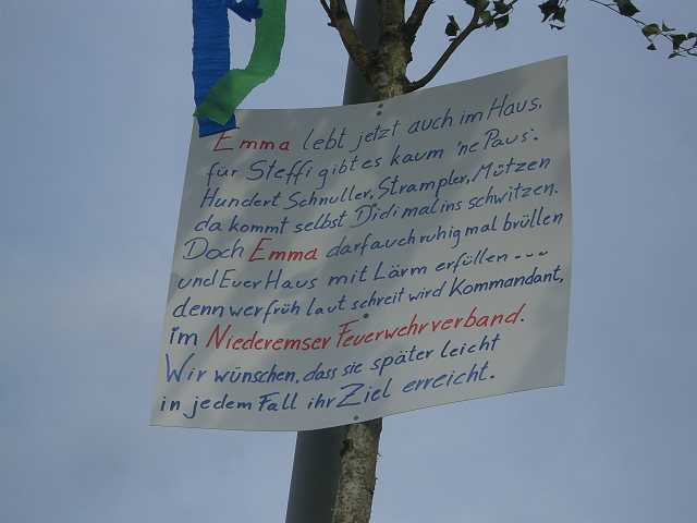 ff-baeumchen-stellen-friedrich_20100529-181048.JPG