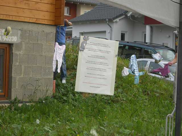 ff-baeumchen-stellen-friedrich_20100529-203028.JPG